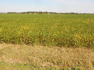 Property photo 2 - LAND AUCTION - 462+/- ACRES OFFERED IN 7 TRACTS IN GRANT COUNTY, IN